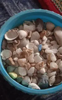 سنگ داخل آکواریوم