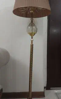کنار سالنی