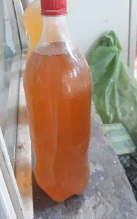 ابغوره خانگی