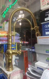 شیر طلایی شاوری