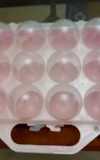 جای نگهداری تخم مرغ ۱۲ عددی