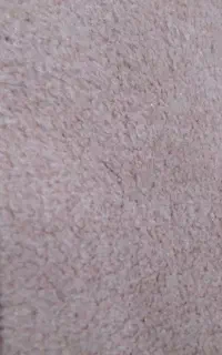 پالاز موکت برنگ کالباسی