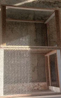 قفس کبوتر