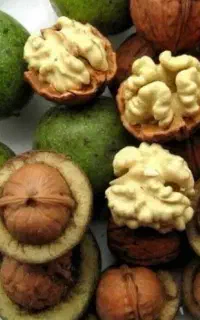 خریدار گردو ۱۱۰