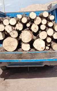 خرید وفروش چوب