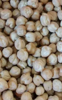 خمیر فلافل . مواد فلافل . خونگی
