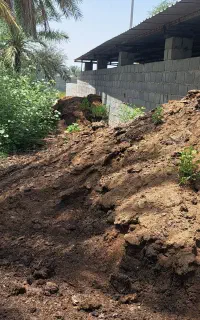 کود گاوی پرواری پودر