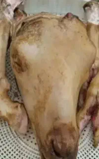 تمیزی کله پاچه رابسپاریدبه ماوازعیدتان لذت ببرید.