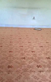 موکت طرح دار