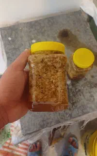 عسل سر پولکی