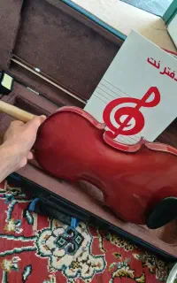 ویالون