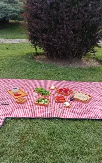زیرانداز ضدآب کیفی