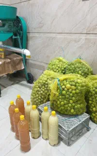 لیمو و آبلیمو