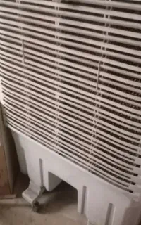 یک عددکولر آبی ایستاده درحدنو