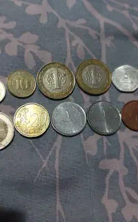 سکه