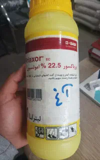 پریاکسور و مگافیل