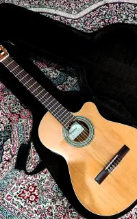 گیتار Almansa 400 Cw