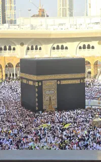 خرید و فروش فیش حج تمتع و عمره مفرده
