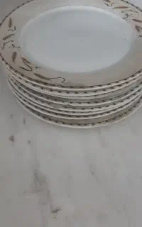 بشقاب چینی