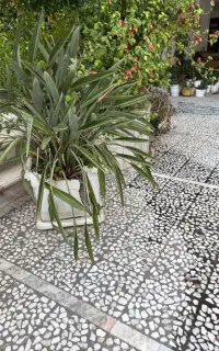 استخدام سرایدار