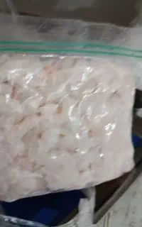 میگو