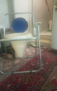 توالت فرنگی