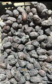 خرمای عالی کلوته و مضافتی