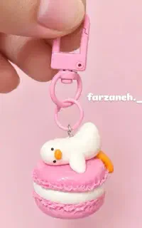هولدر