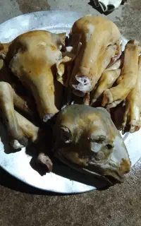 کله پاچه