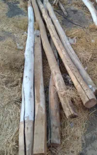 چوب‌فروشی
