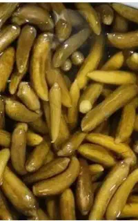 خیارشور محلی امسالی
