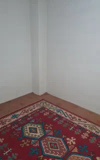 نظافت خانه