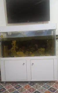 فروش آکواریم