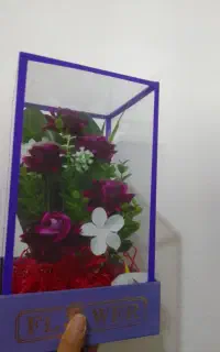 باکس گل
