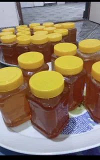 عسل صدرصد طبیعی کوی