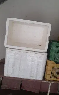 کاچوی یخچالی سایز بزرگ