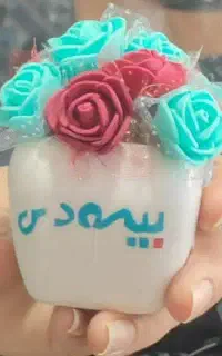بیمه ثالث و بدنه ۱۲قسطه(بیمه دی)