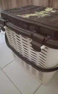 سبد پلاستیکی