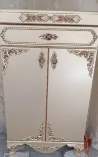 جاکفشی سالم