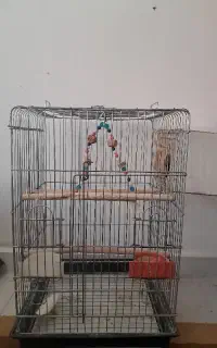 قفس