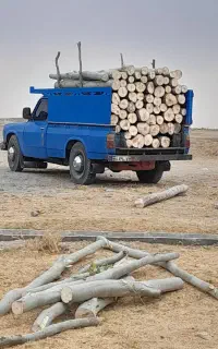 خریدار چوب همه نوع