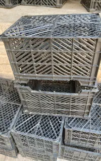 سبد میوه