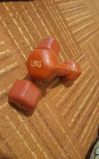 دو عدد دمبل ۱.۵کیلویی