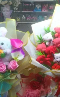 دیزاین عروسک و پول ارای