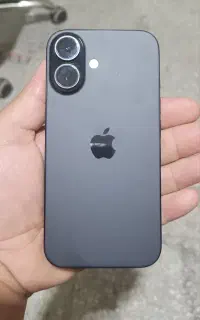16normal