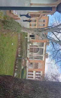 نظافتچی خانم