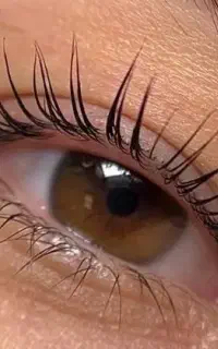 مژه و ابرو