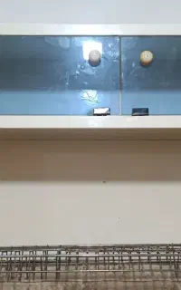 ابچکان