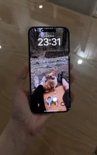 iPhone 15 promax