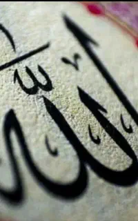 سرکتاب بازگشت